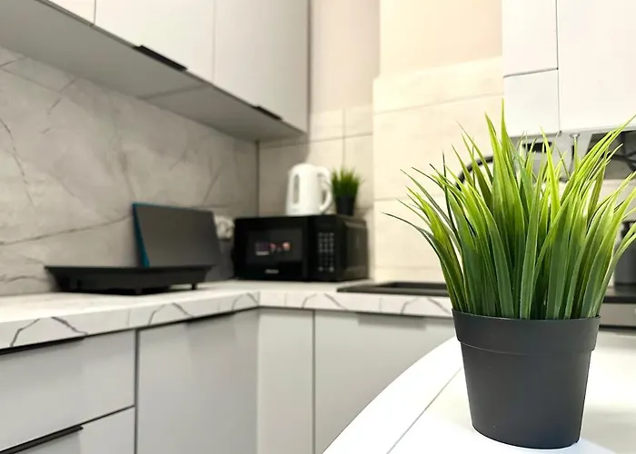 ホームステイ Mmrent Jellyfish *